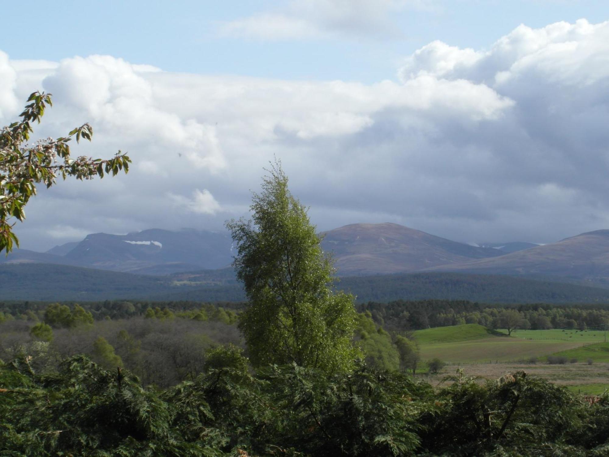 Amazing Cottage With Private Indoor Swim Pool And Hot Tub Grantown-on-Spey Экстерьер фото